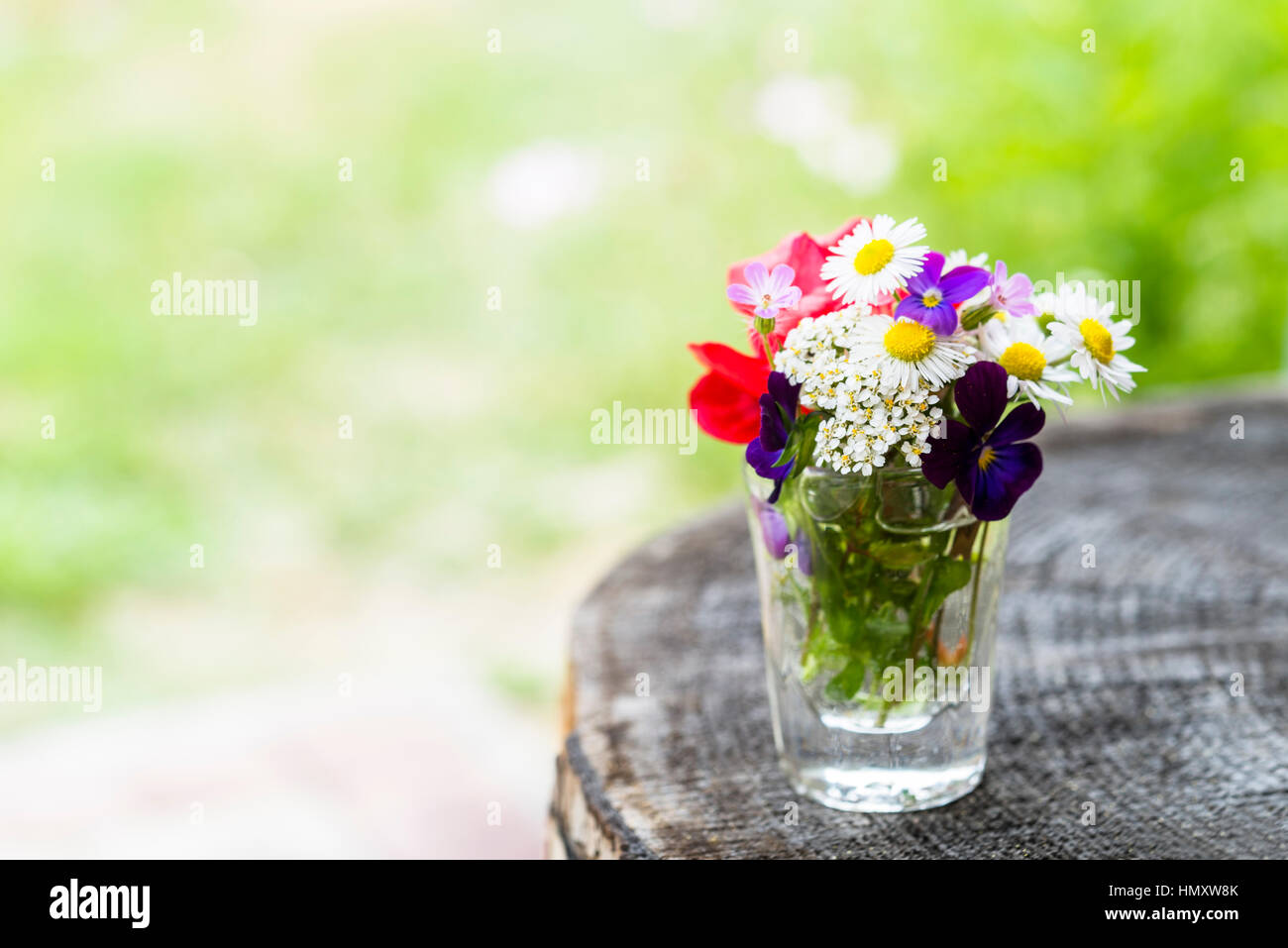 Closeup of colourful garden flowers in a glass on old wooden tree trunk with copy-space. Selective focus Stock Photo