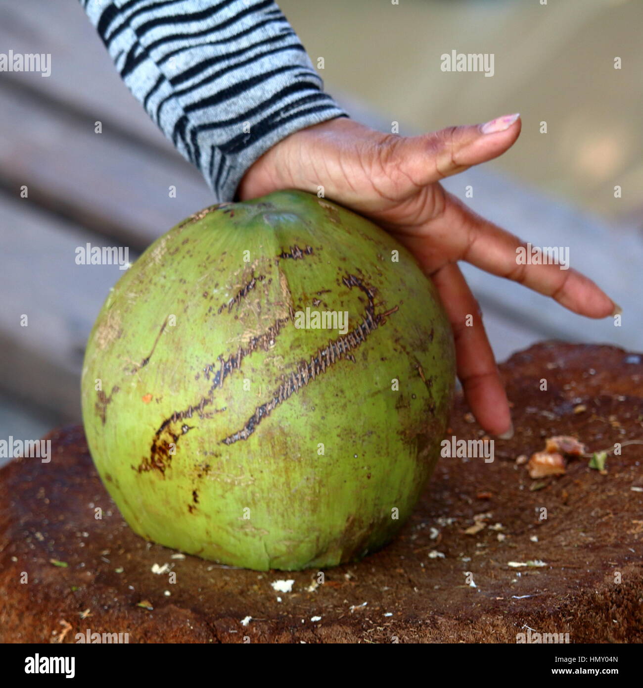Coconut preparation cutting Stock Photo Alamy