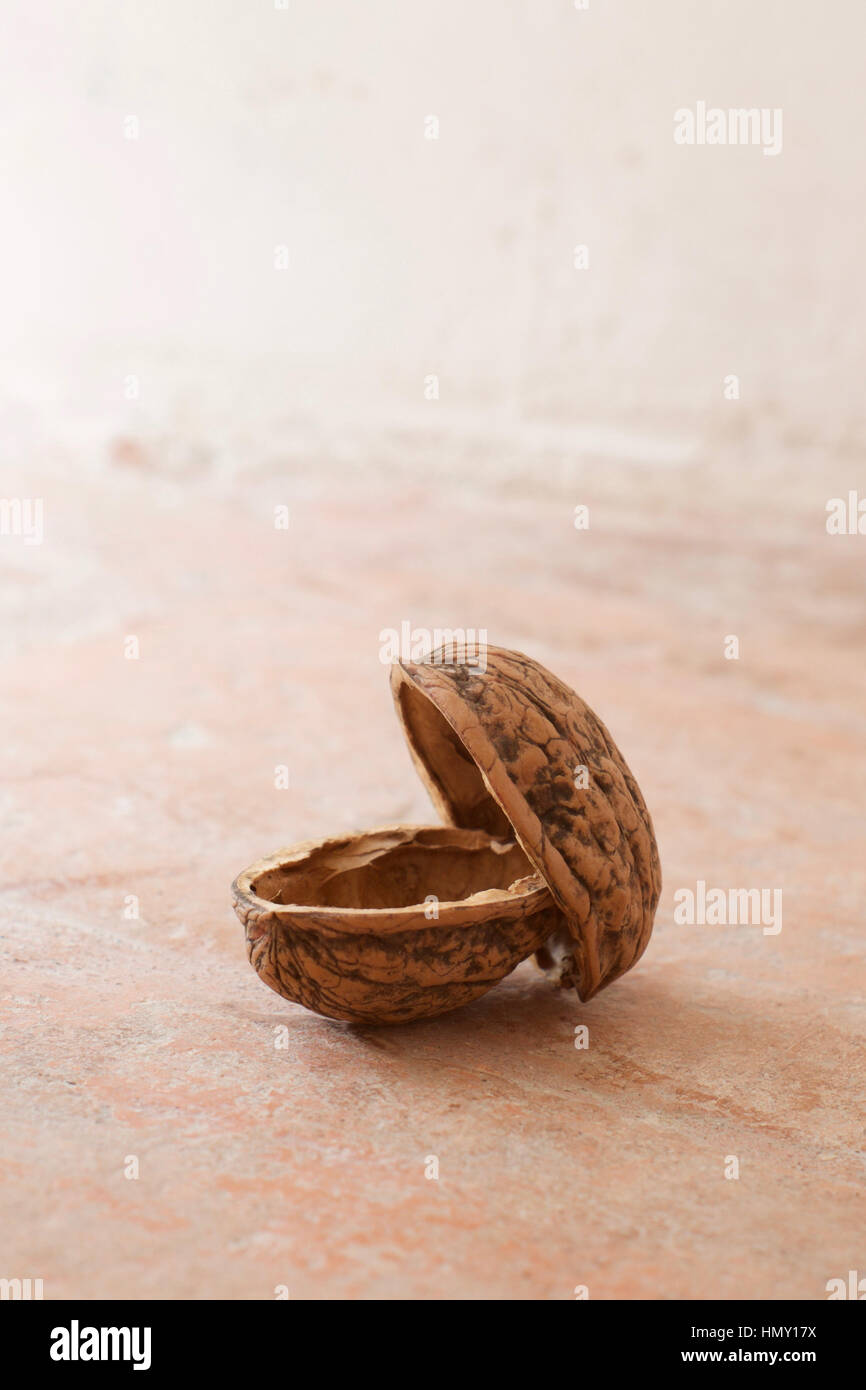 Two walnut shell halves Stock Photo Alamy
