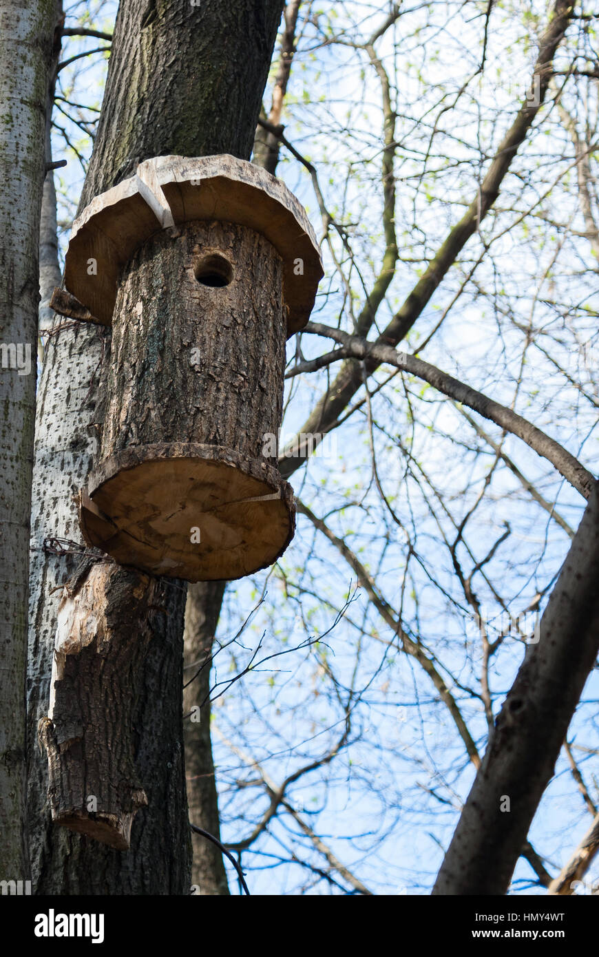 Wooden birdhouse made with your own hands mounted on wood Stock Photo