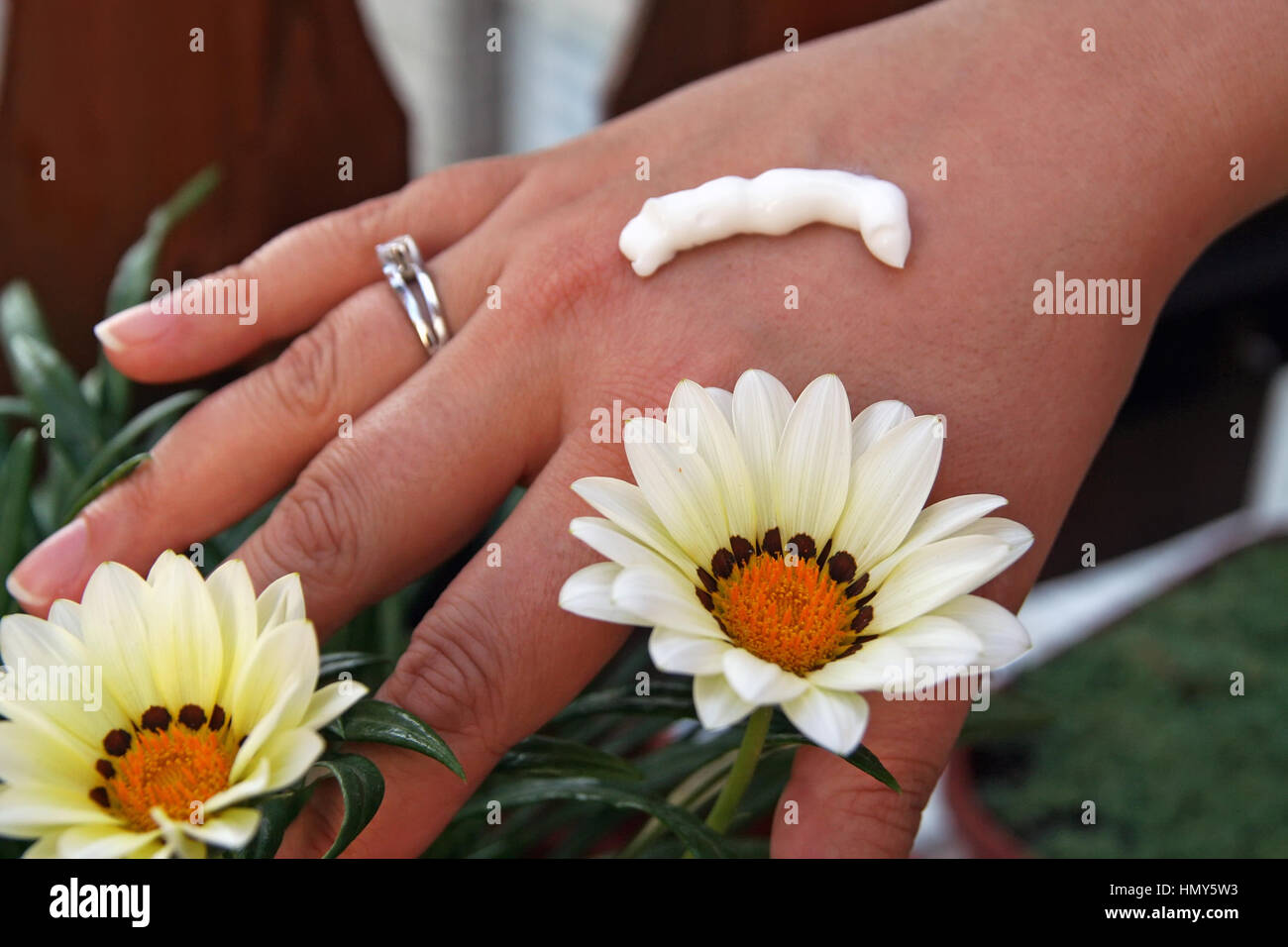 Girls hands. Hand cream and a flower. Stock Photo