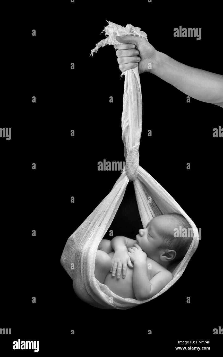 Composite image of a 1 week old newborn baby of mixed race hanging in a fabric sling Stock Photo