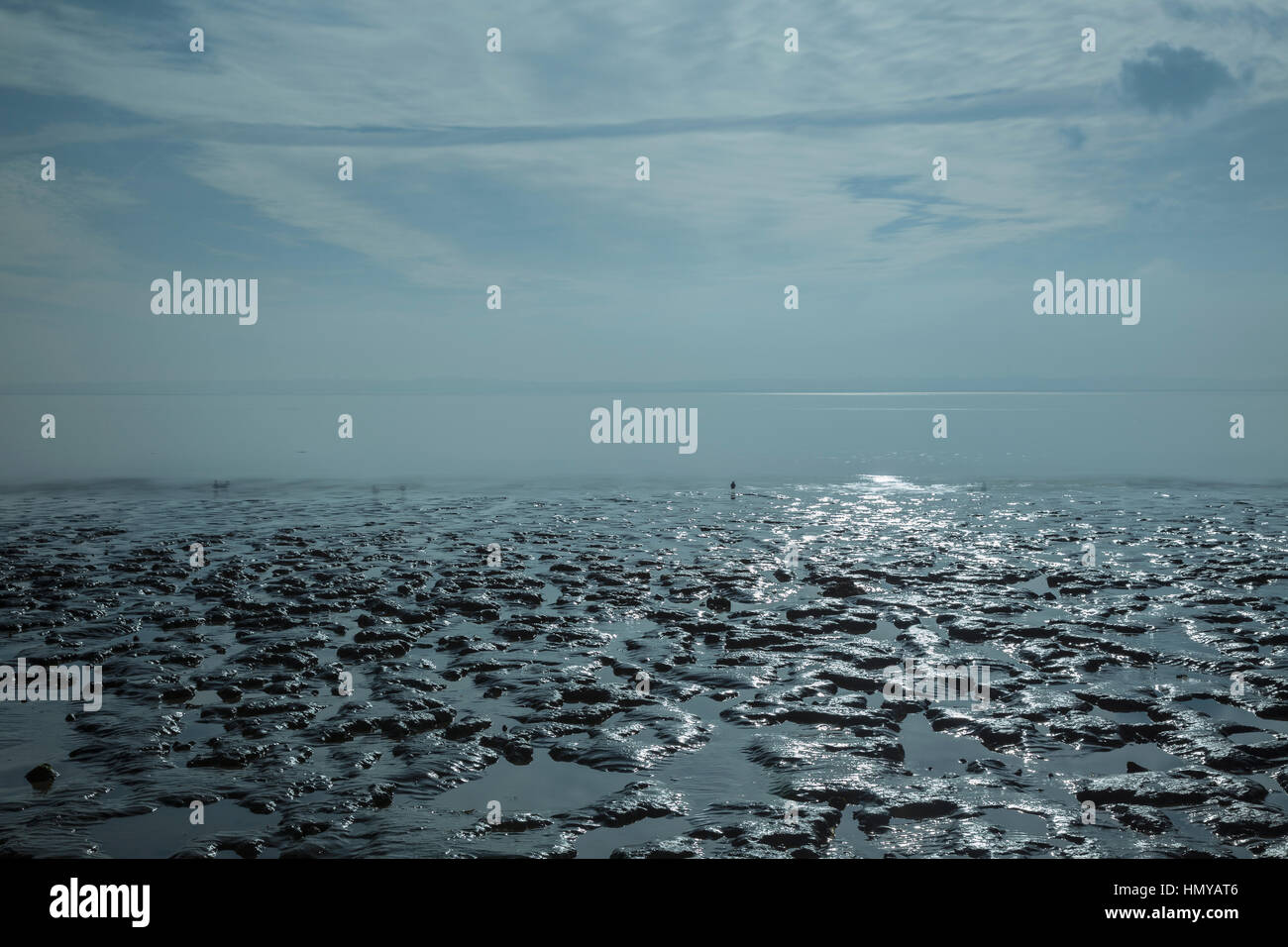 Thames Foreshore on Ebbing Tide Stock Photo Alamy