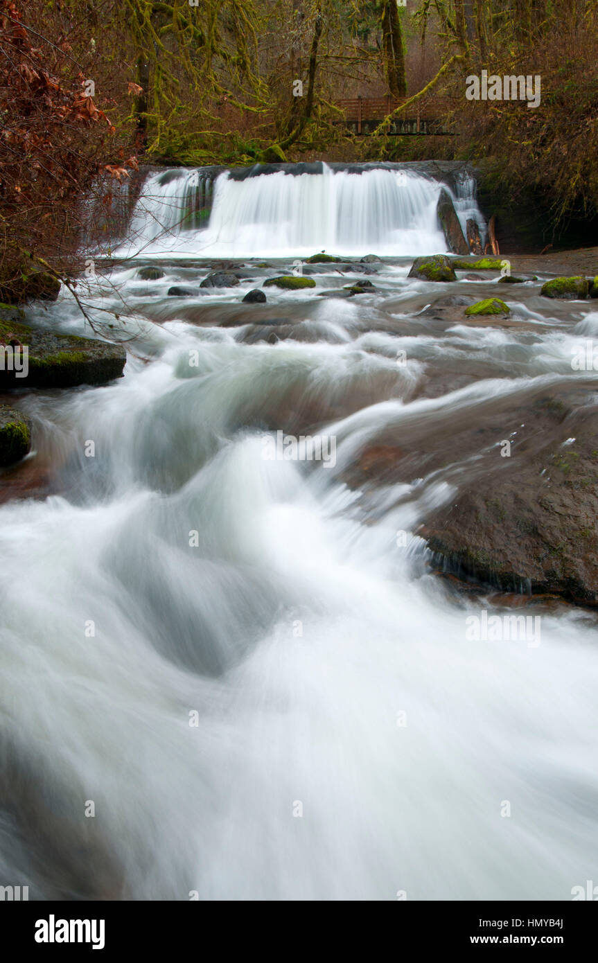 McDowell Creek Falls, McDowell Creek Falls County Park, Linn County, Oregon Stock Photo