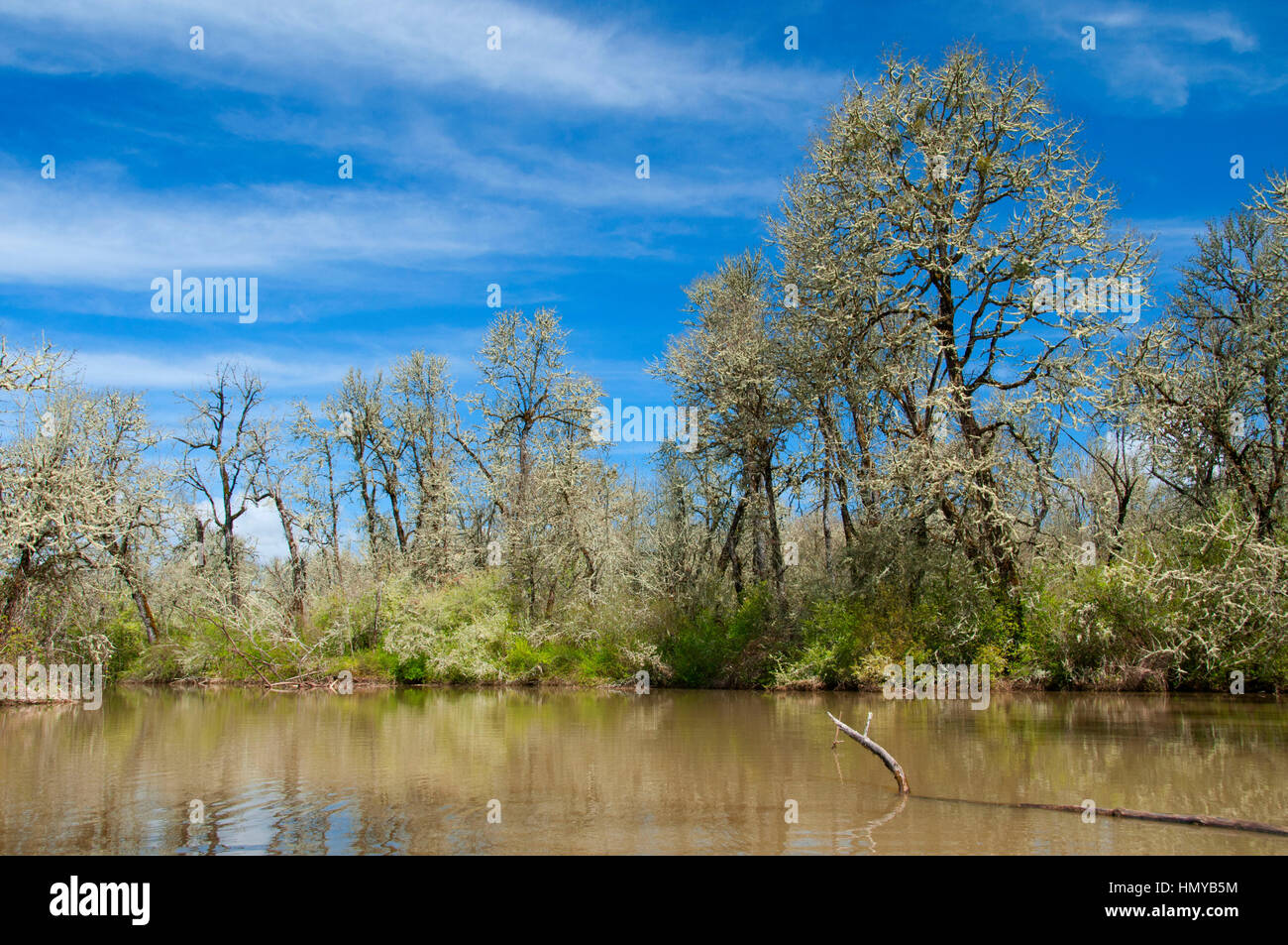 Coyote Creek, Fern Ridge Wildlife Area, Oregon Stock Photo Alamy