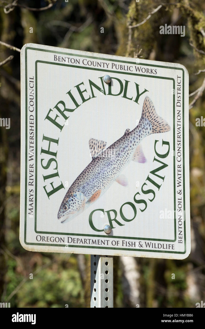 Portland Fish Sign Environmental restoration hi-res stock photography and images - Alamy