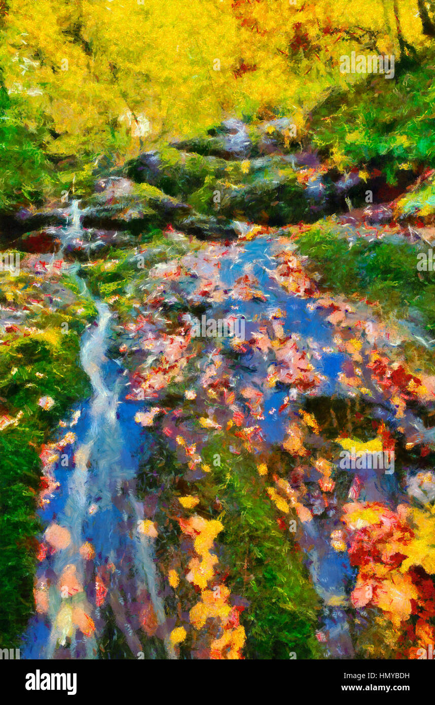 Autumn in the forest Stock Photo - Alamy