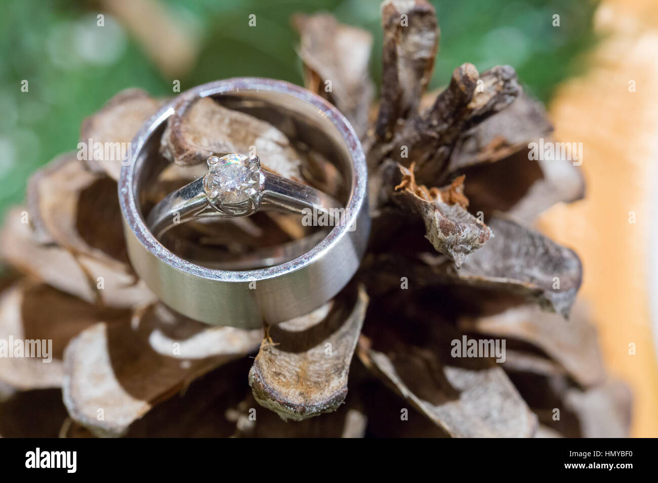 Bride And Groom Wedding Rings On Ferns And A Pinecone At A Winter