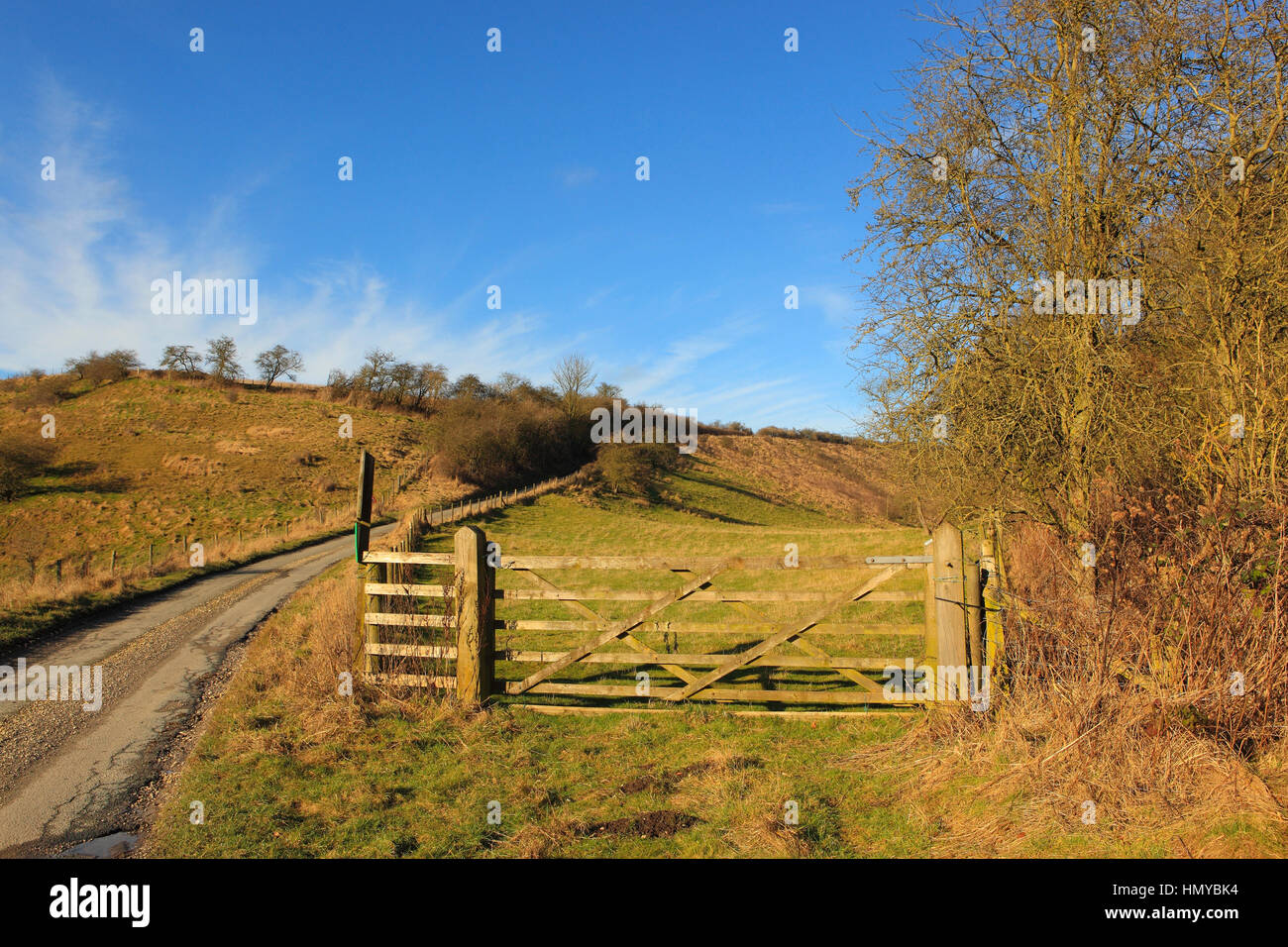 rustic wooden gates with a green meadow and a small country road in a winter yorkshire wolds landscape under a blue sky with white wispy cloud Stock Photo