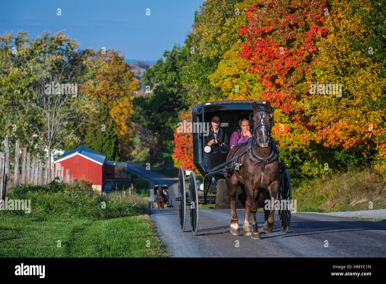 Amish horse buggy fall foliage hi-res stock photography and images - Alamy