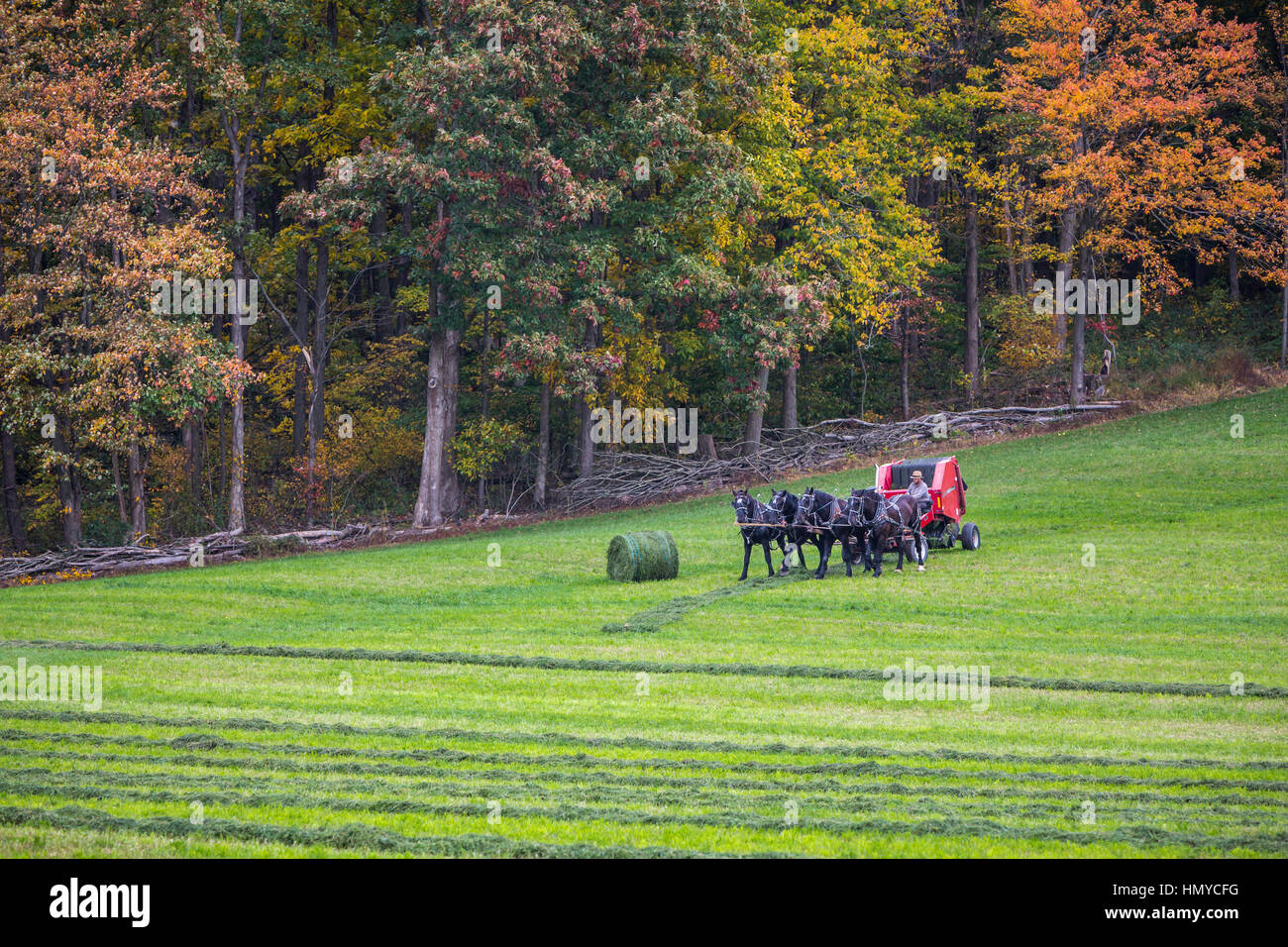 Amish horse drawn farm implements on the field near Berlin, Ohio, USA