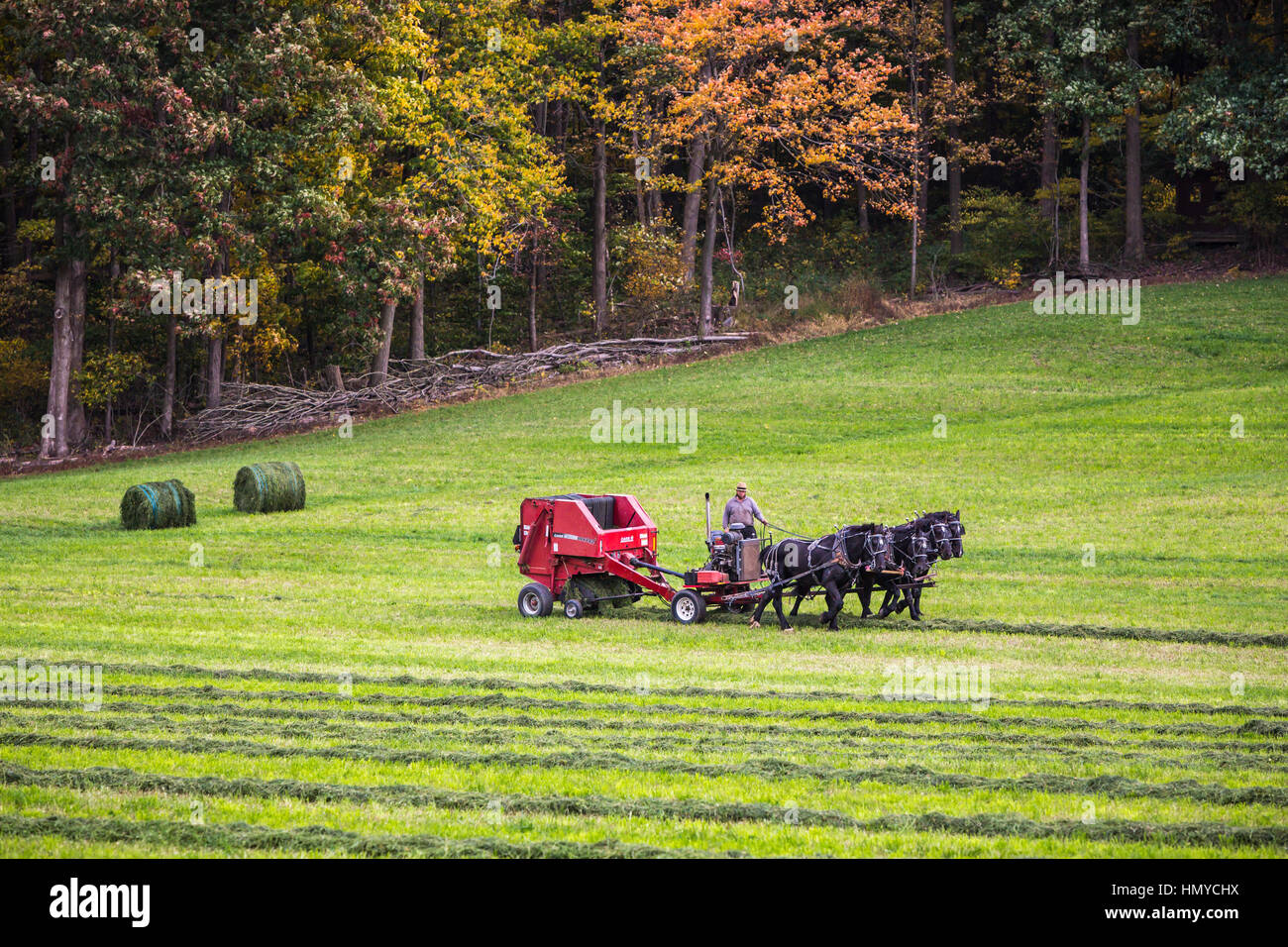 Amish horse drawn farm implements hires stock photography and images