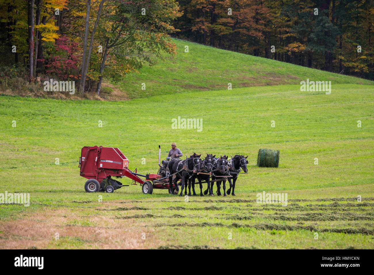 Amish horse drawn farm implements hires stock photography and images