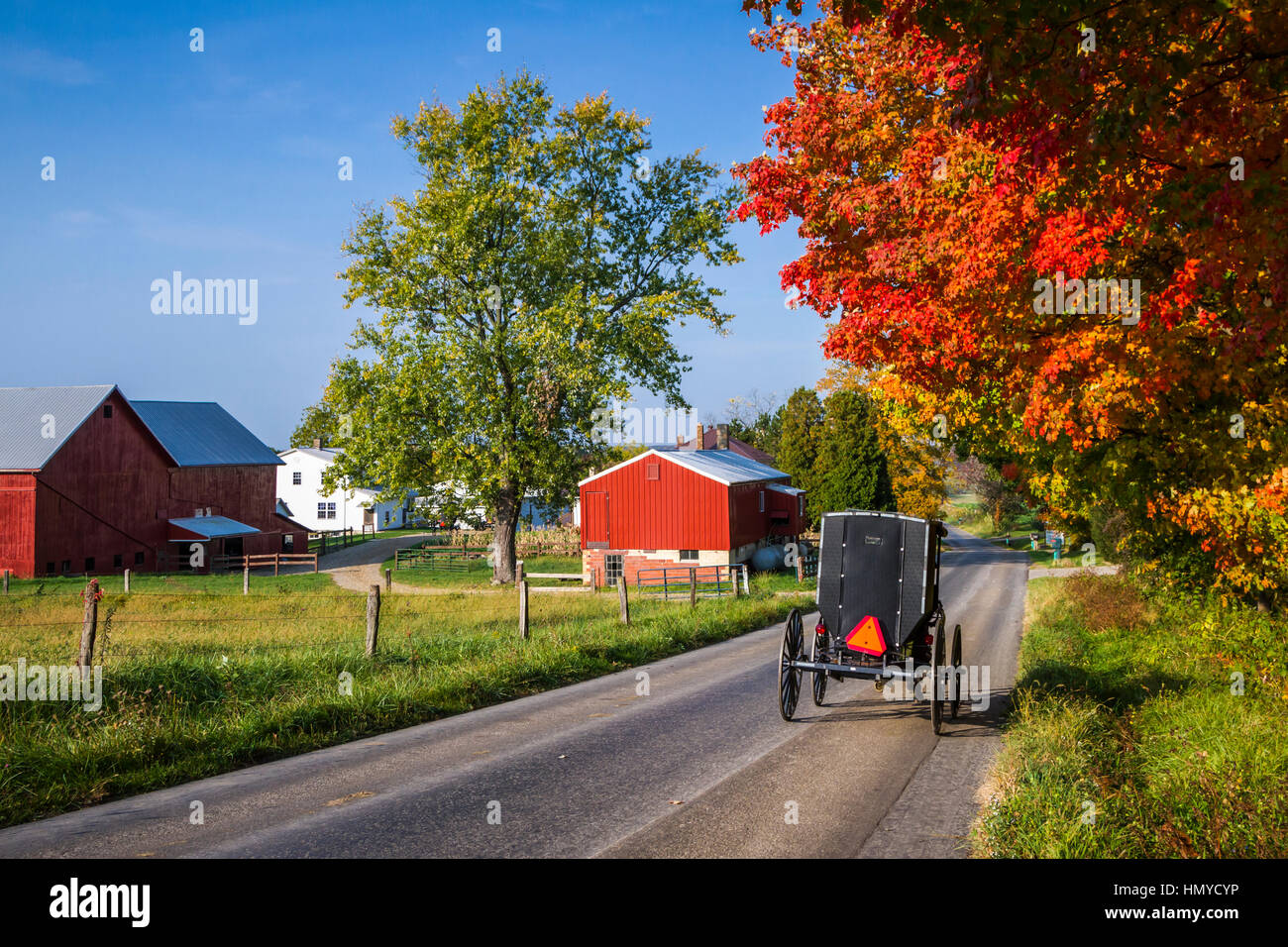 Amish horse buggy fall foliage hi-res stock photography and images - Alamy