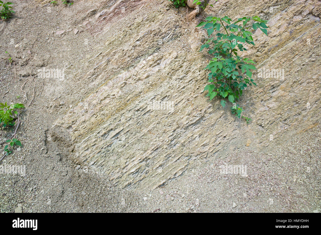 Bedding, strata, and deposition planes in marl rock exposure, Tangshan