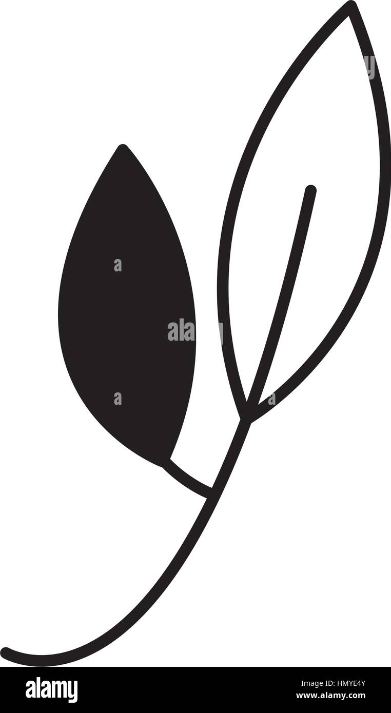 leafs plant isolated icon vector illustration design Stock Vector Image ...