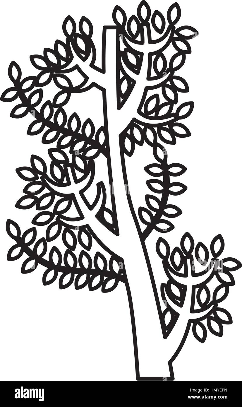 tree branch isolated icon vector illustration design Stock Vector Image ...