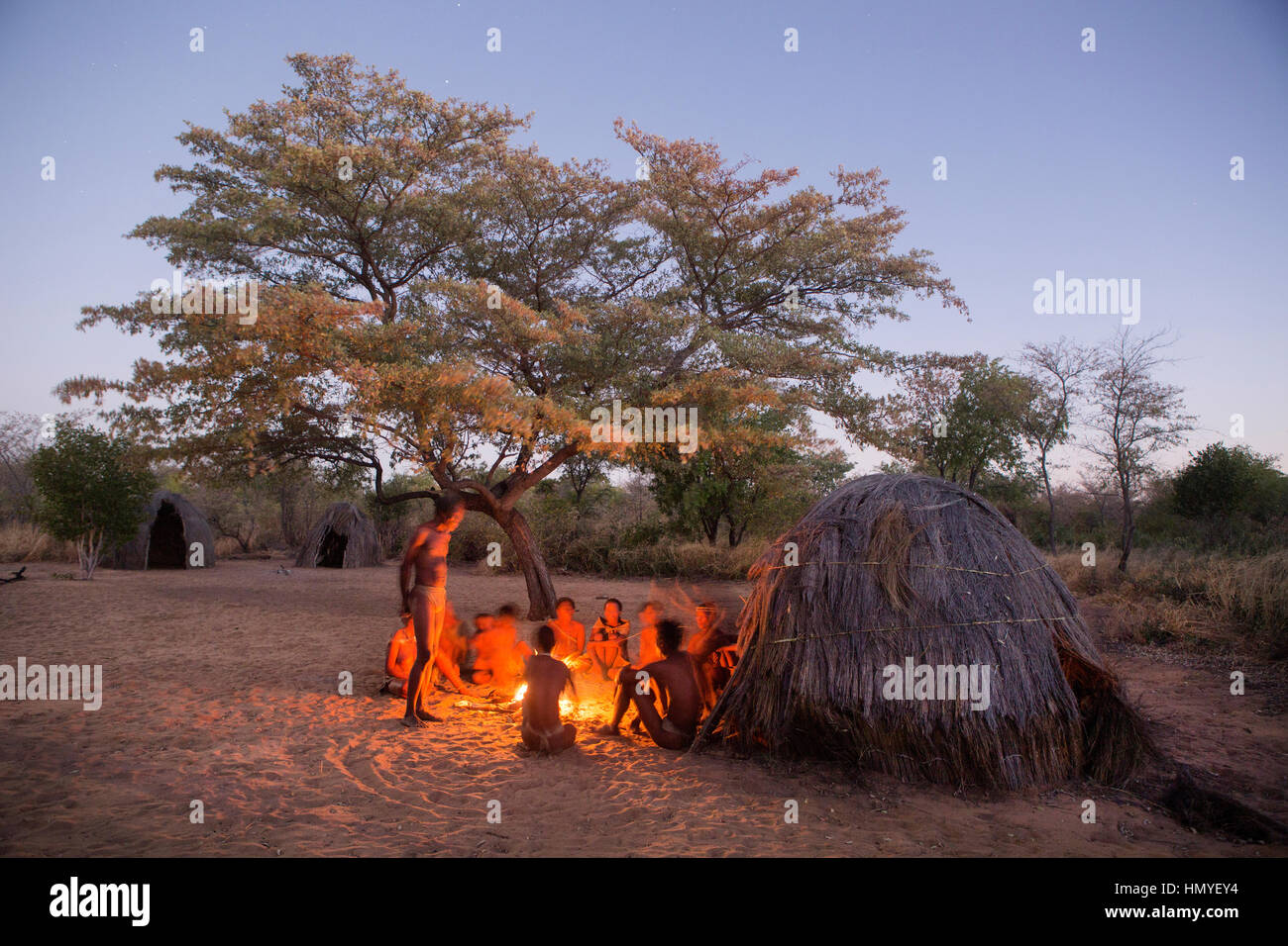 San Bushmen gather around a fire at dusk Stock Photo - Alamy