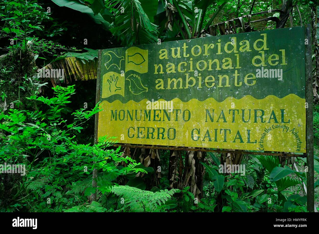 Canopy Adventure is located in a beautiful valley (El Valle) not far from Panama City, the capital city of Panama. This exciting new ecotourism opport Stock Photo
