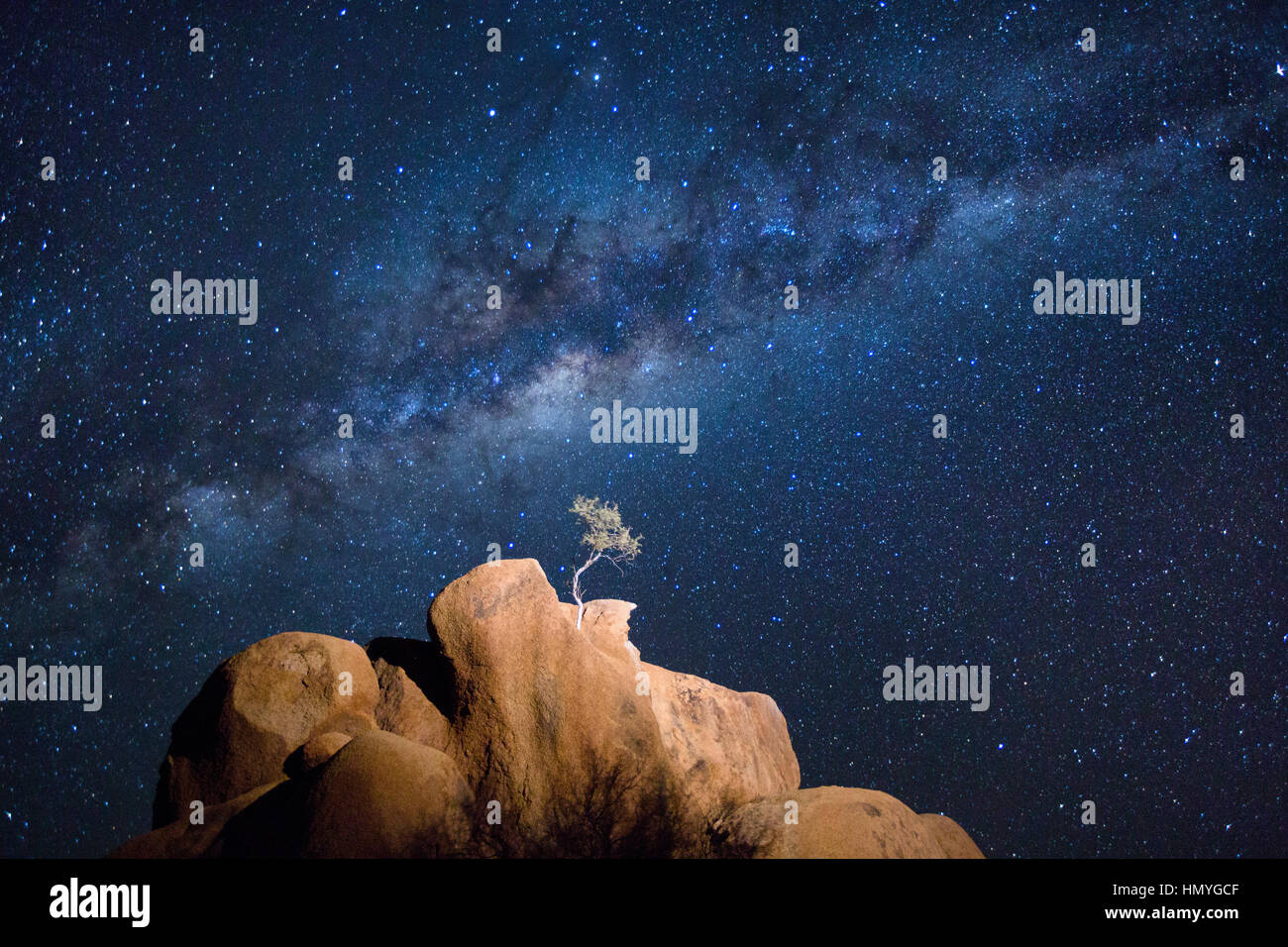 A lone tree grows from a granite koppie under the Milky Way Stock Photo ...