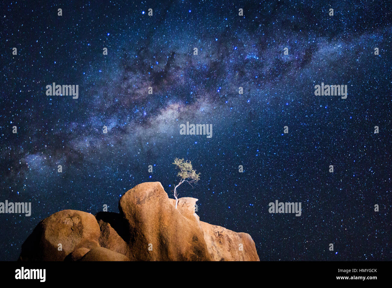 A lone tree grows from a granite koppie under the Milky Way Stock Photo ...