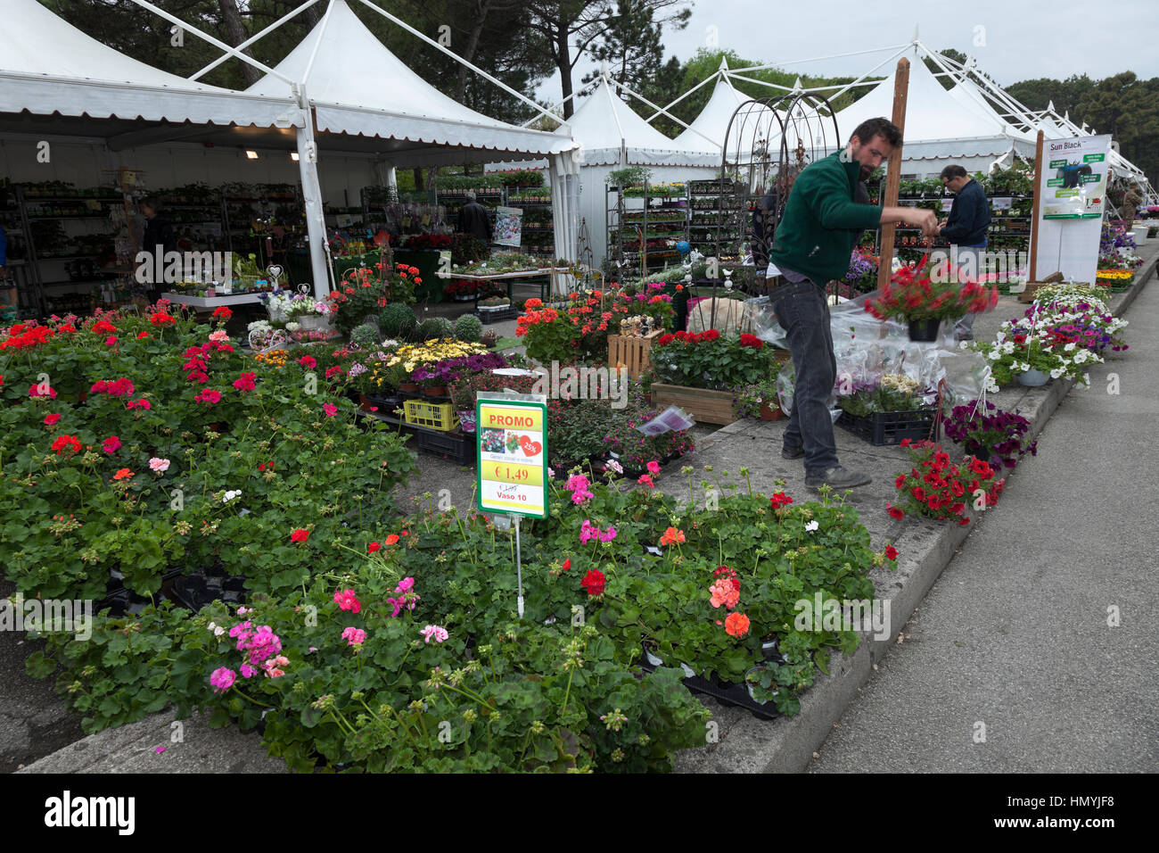 Stalls selling flowers Stock Photo Alamy