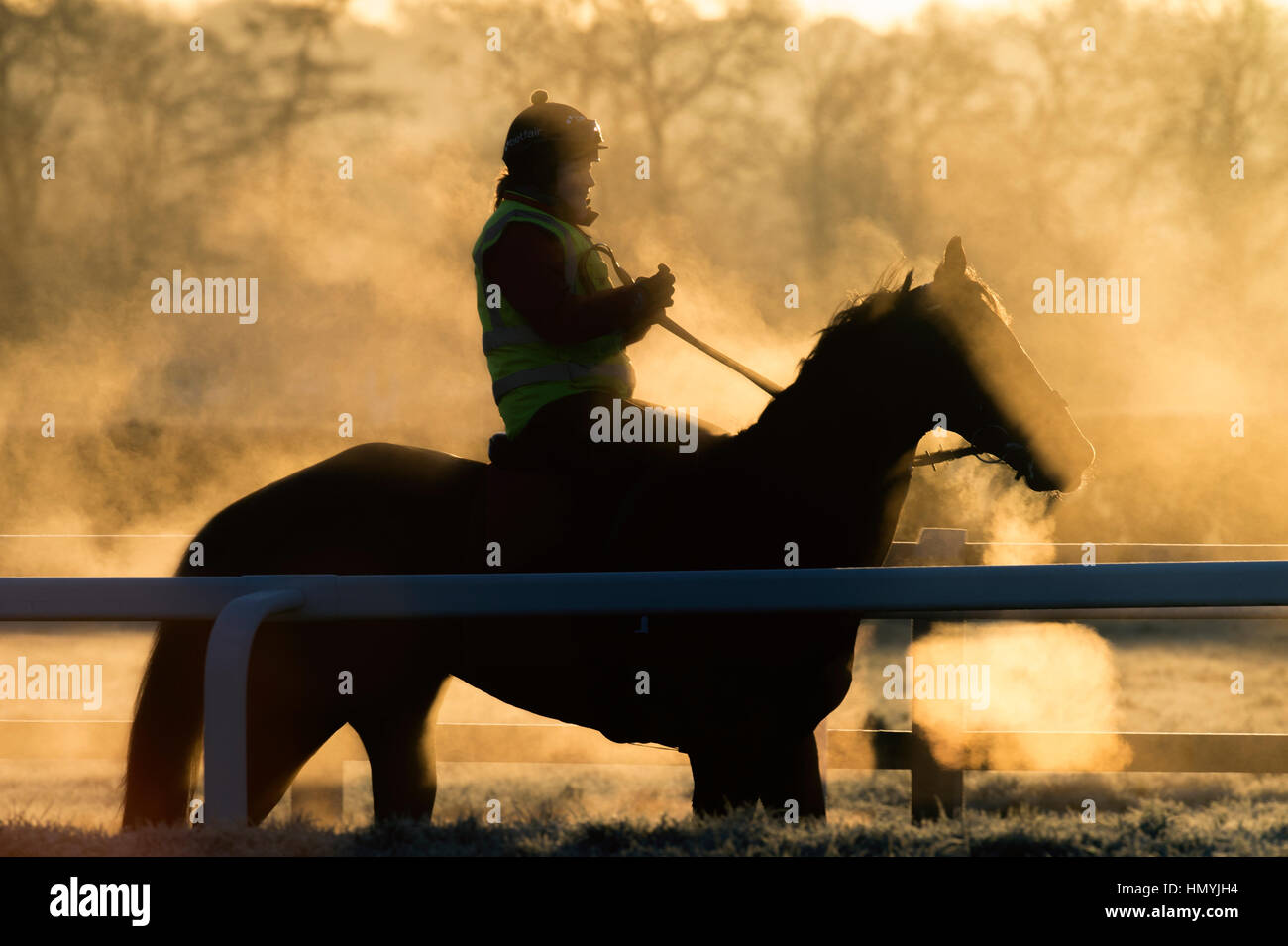 Race horse stables uk hi-res stock photography and images - Alamy