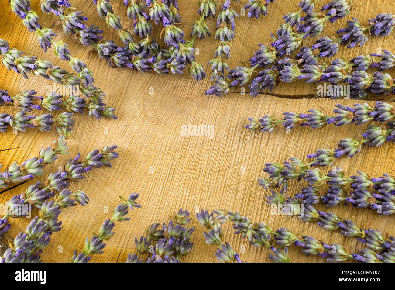 Lavender flowers on a wooden stump with copyspace Stock Photo
