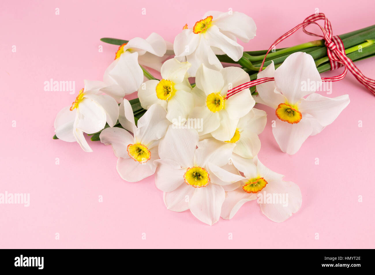 Narcissus flowers bouquet on pink background. Spring time Stock Photo