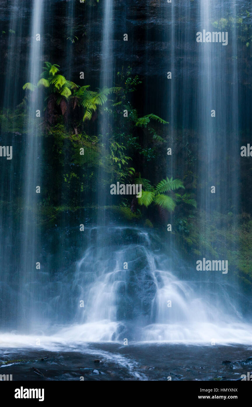 A misty curtain of water cascades down a tiered waterfall in a cool temperate rainforest. Stock Photo