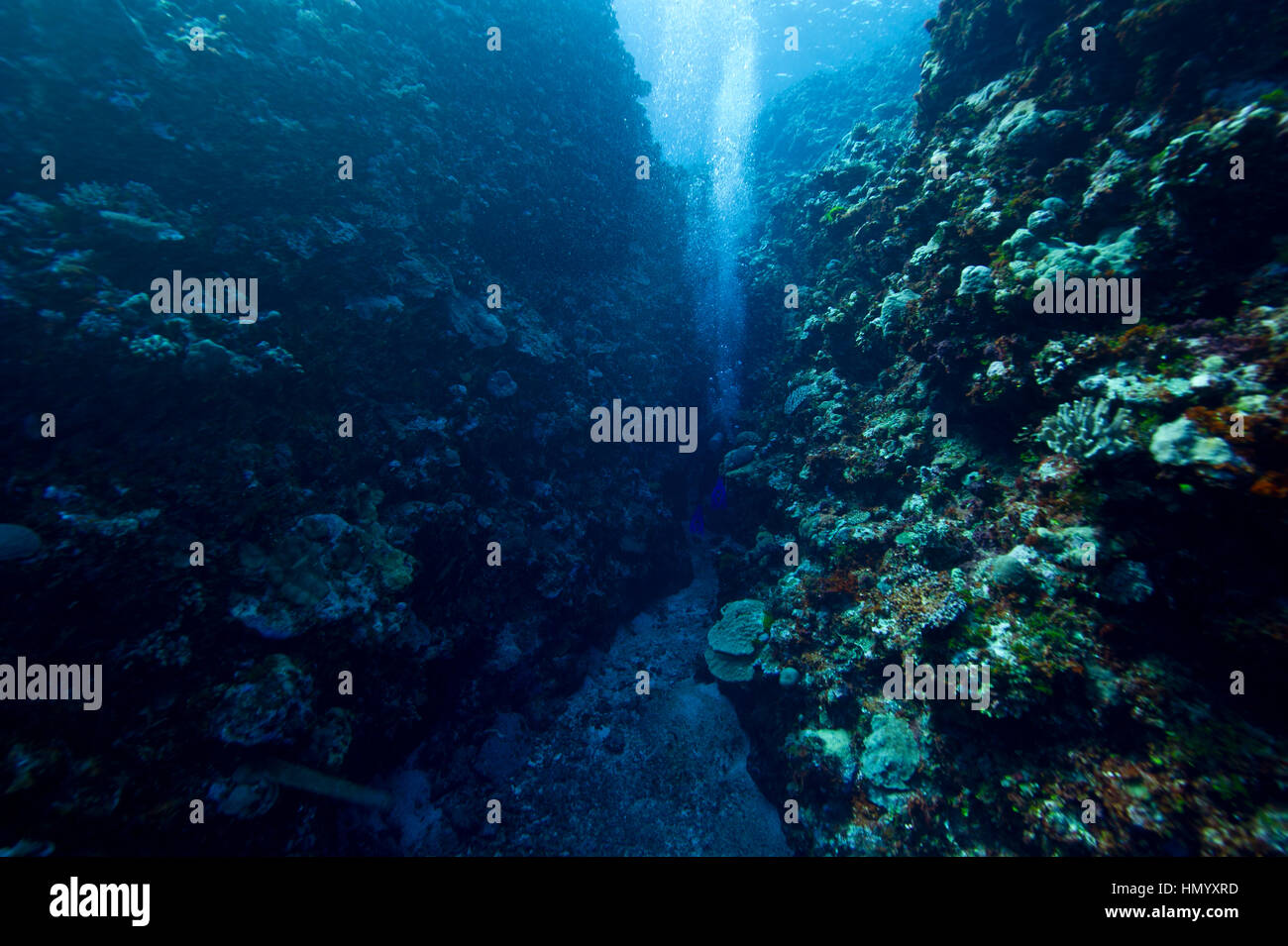 Scuba divers swimming through a coral canyon in a tropical reef. Stock Photo