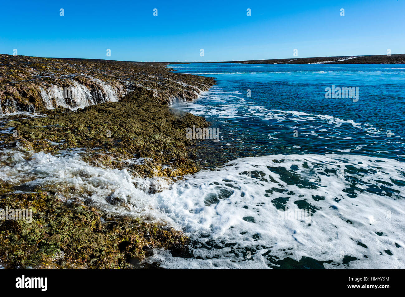 Water cascades from the surface of an exposed coral reef at low tide. Stock Photo