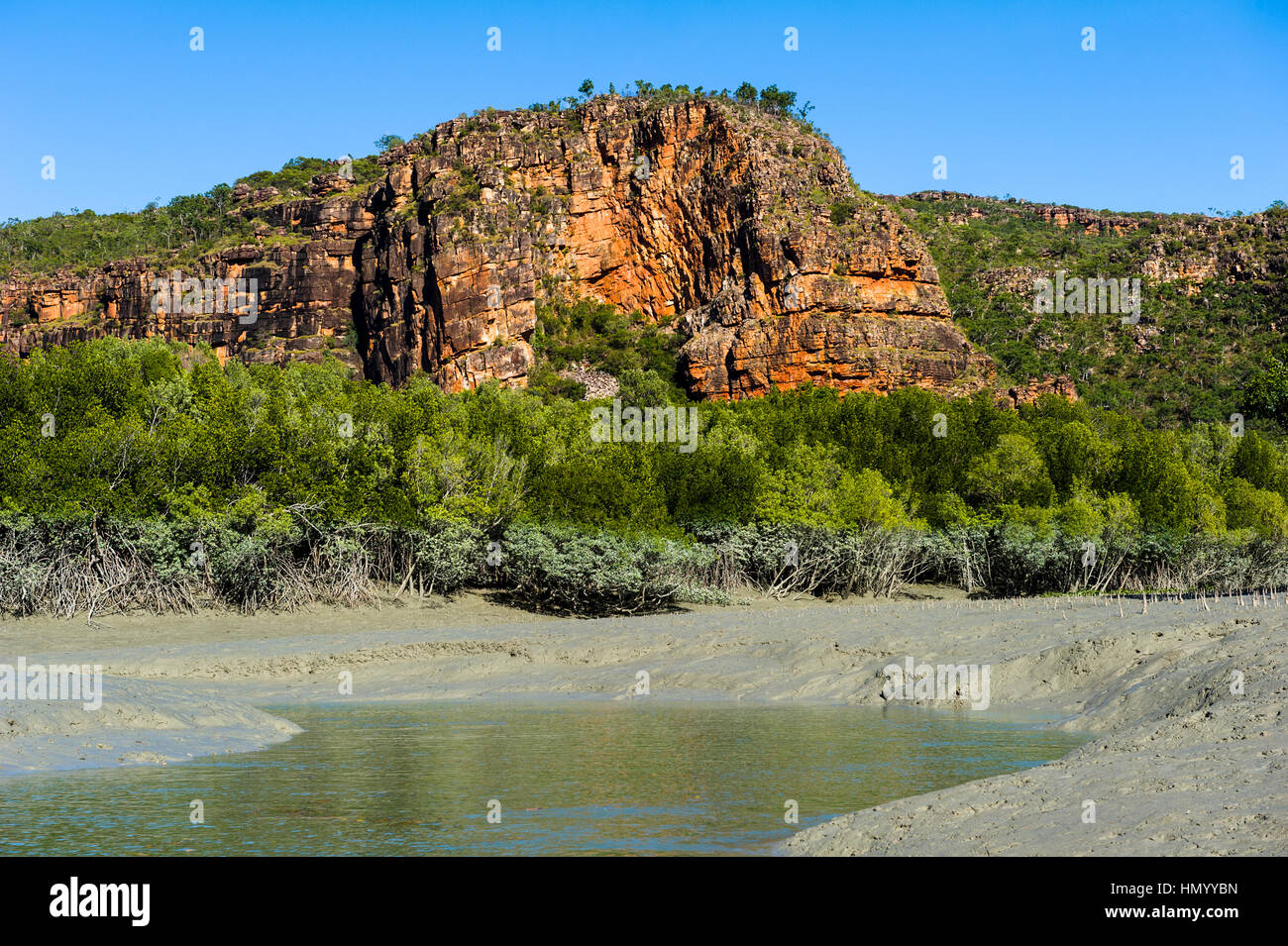 A mangrove forest tributary channel beneath a sandstone cliff at low tide. Stock Photo