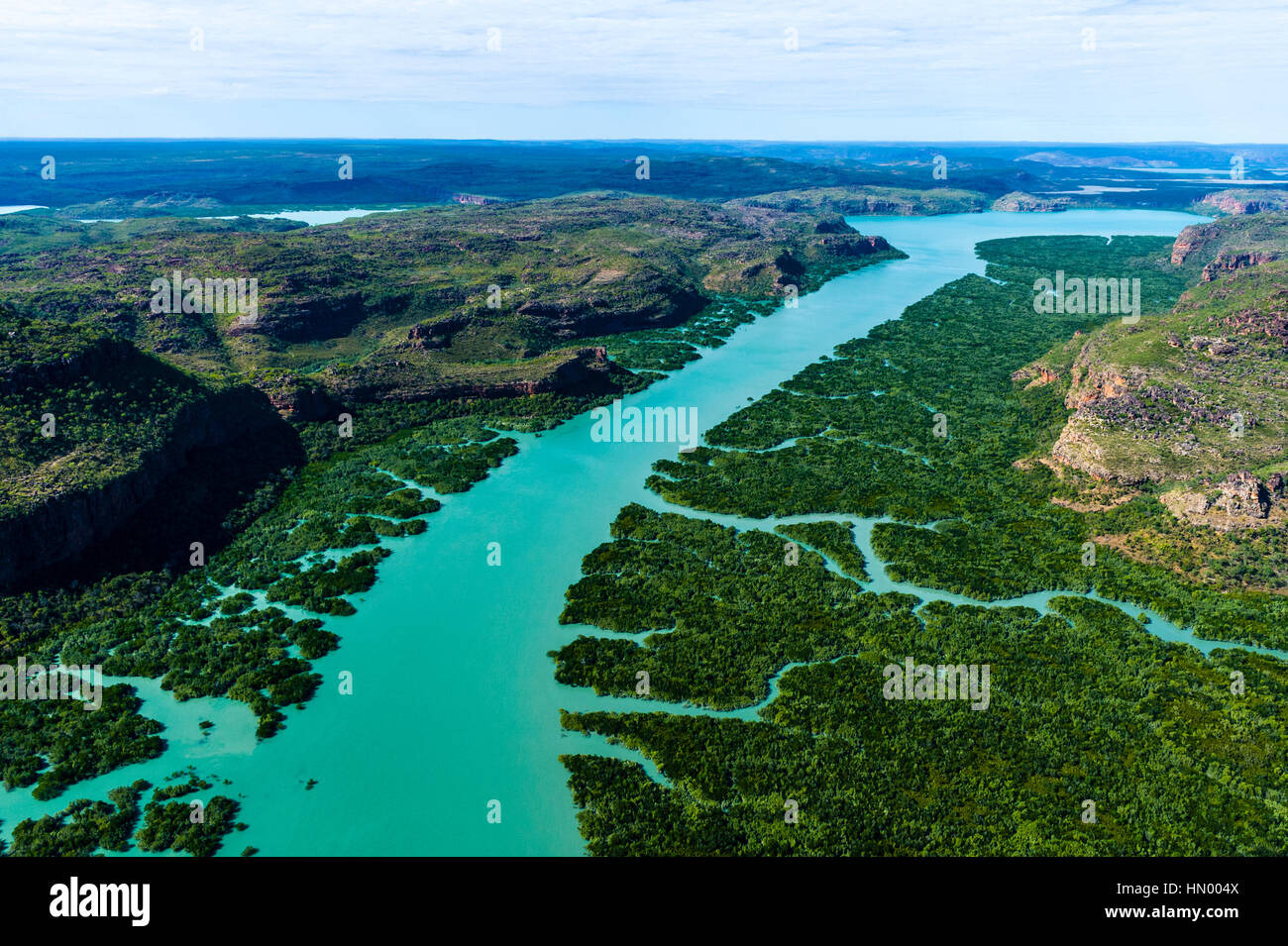 An aerial view of river tidal inlets winding their way through mangrove forests. Stock Photo