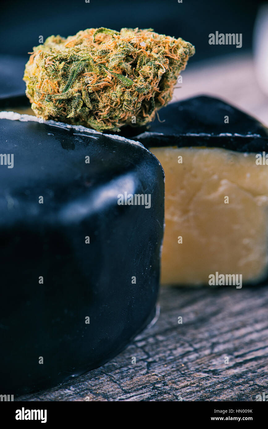 Detail of dried cannabis bud (Cheese strain) over cheesy slice