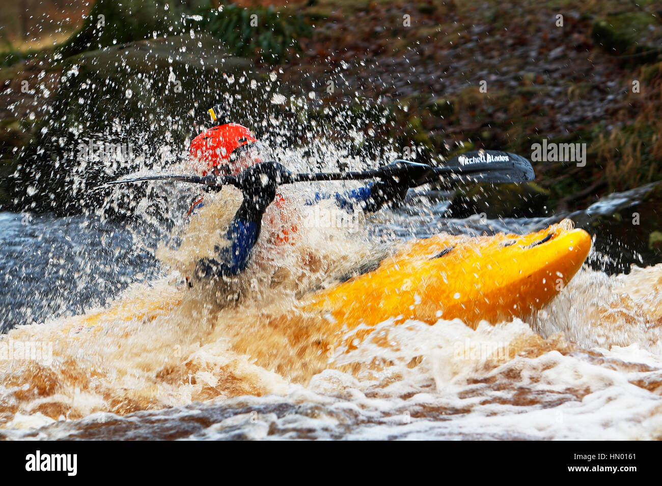 Wild Water Canoeing River Washburn North Yorkshire Stock Photo Alamy