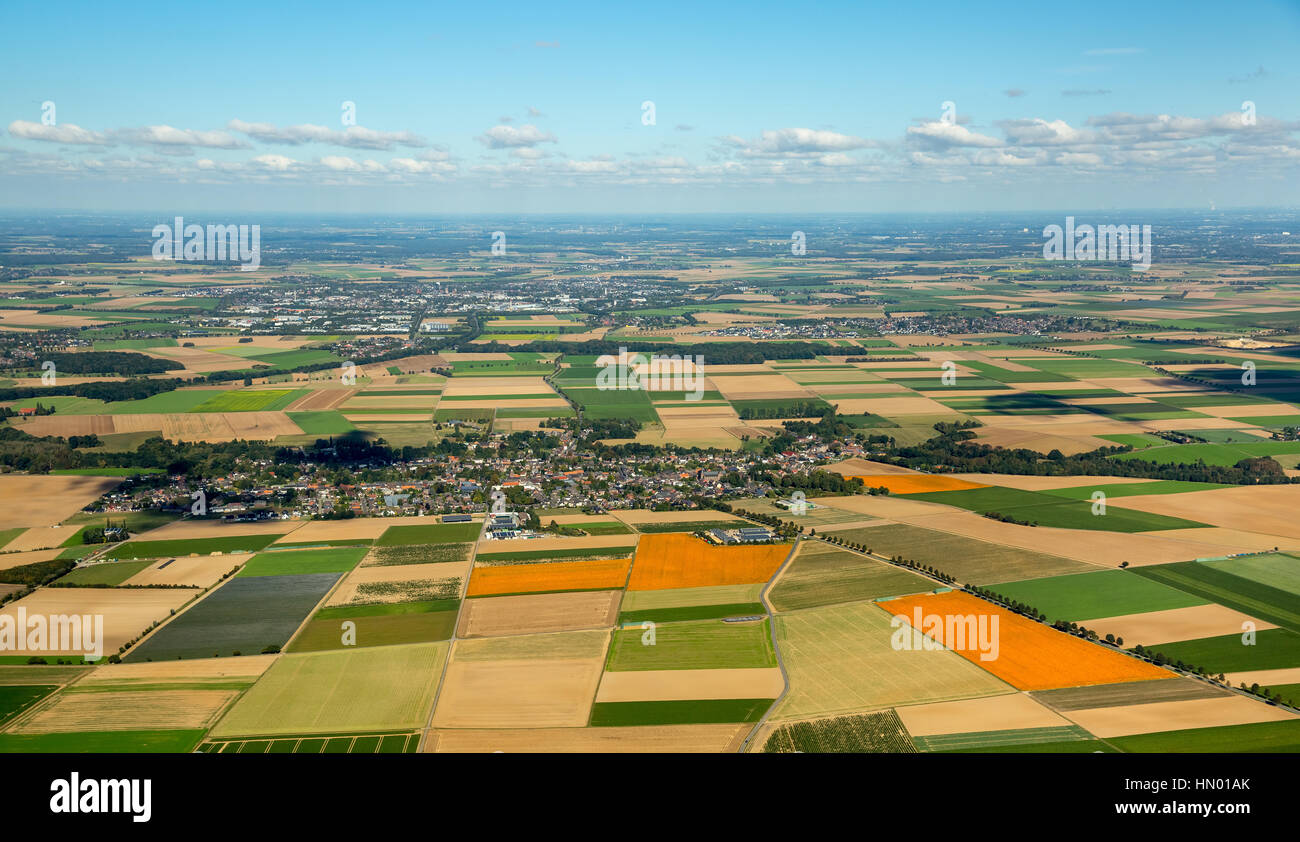 Agricultural land, pumpkin fields, Löwenich near Erkelenz, Niederrhein, Rhineland, North Rhine-Westphalia, Germany Stock Photo