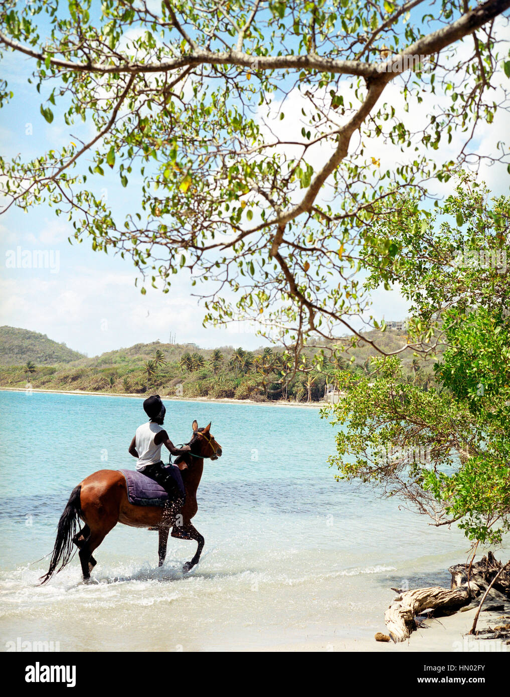 International Pony Club tour guide  Moses Phillipp rides a horse down Cas-En-Bas Beach. International Pony Club offers a fabulous sightseeing experien Stock Photo