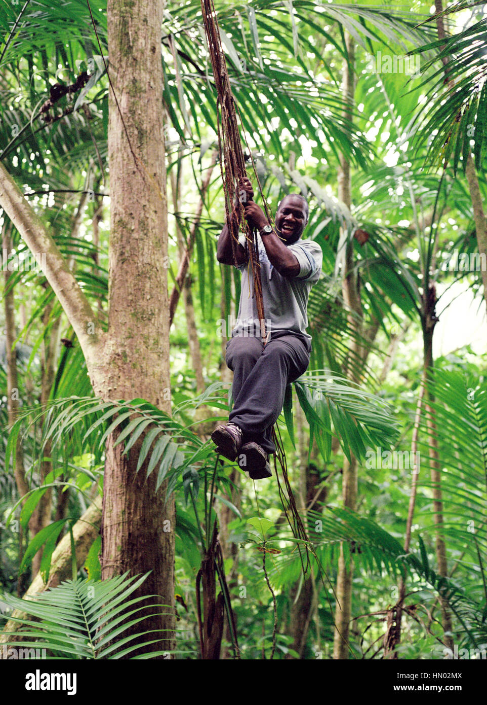 Forest and Lands Department guide Rhikkie Alexander swinging from vines along side the Edmund Trail. In just over three and a half hours a guide from Stock Photo