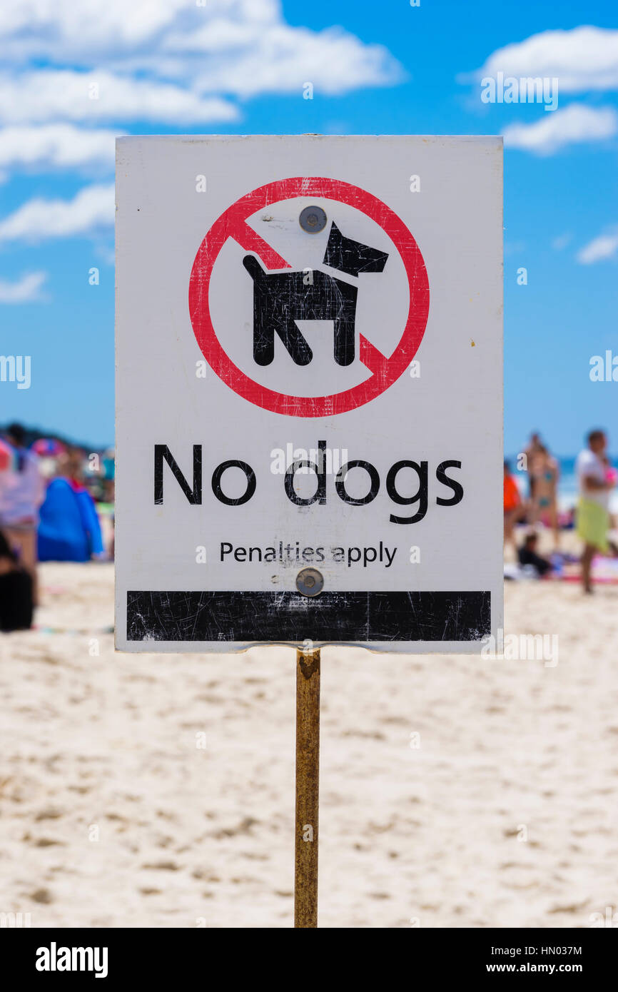 No dogs sign on a beach Stock Photo