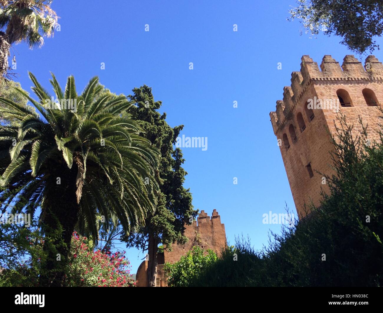 Tangier morocco garden hires stock photography and images Alamy