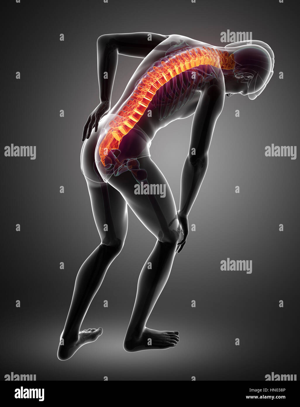 3D Illustration of male Feeling the back pain Stock Photo - Alamy