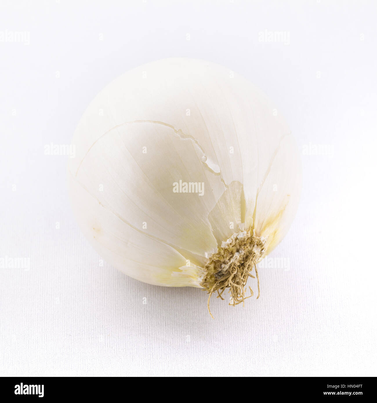 onion isolated on white background Stock Photo