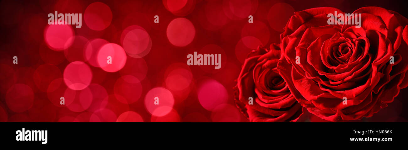 Heart shape of rose on abstract background,Valentine concept Stock Photo