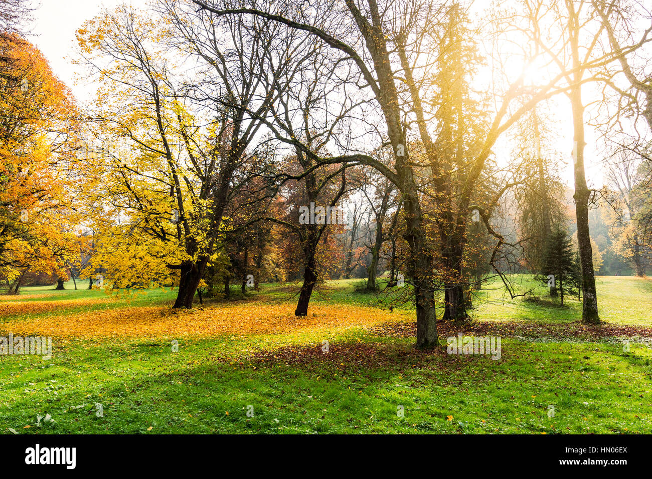 Beautiful romantic alley in a park with colorful trees and sunlight ...