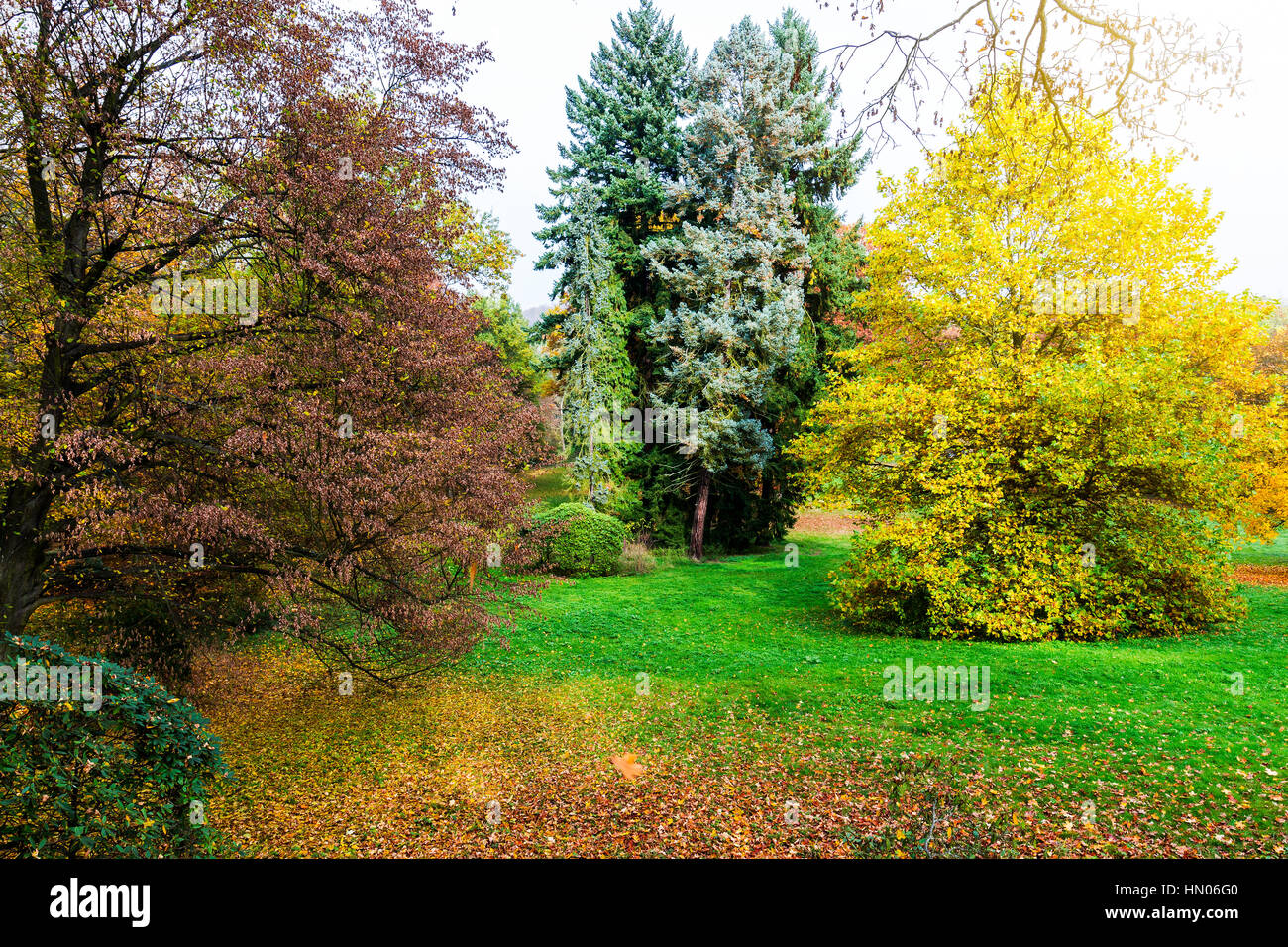Beautiful romantic alley in a park with colorful trees and sunlight