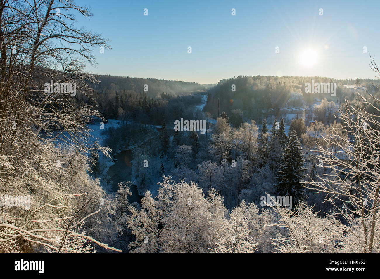 snowy winter forest with snow covered trees in country Stock Photo - Alamy