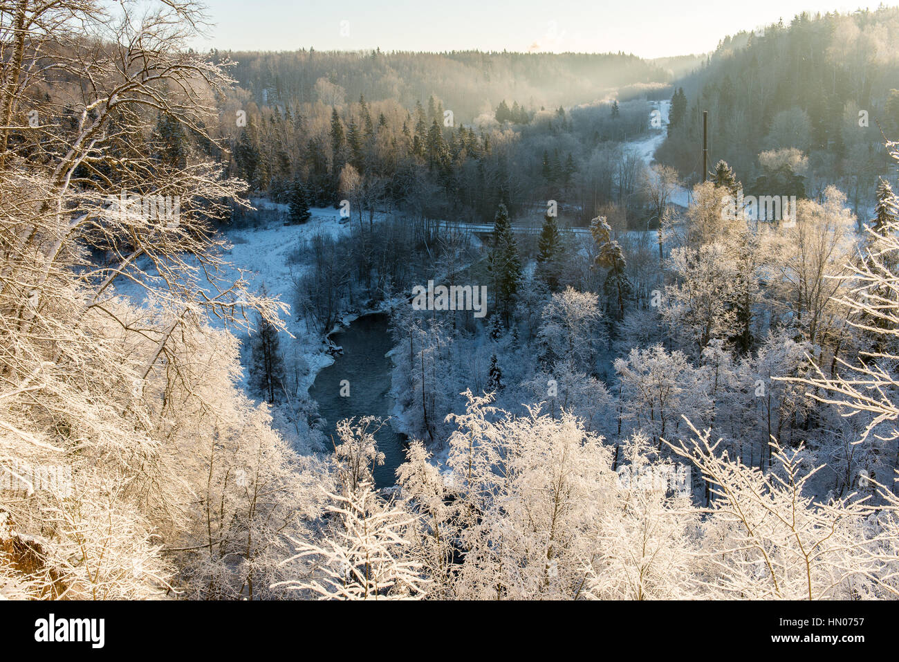 snowy winter forest with snow covered trees in country Stock Photo - Alamy