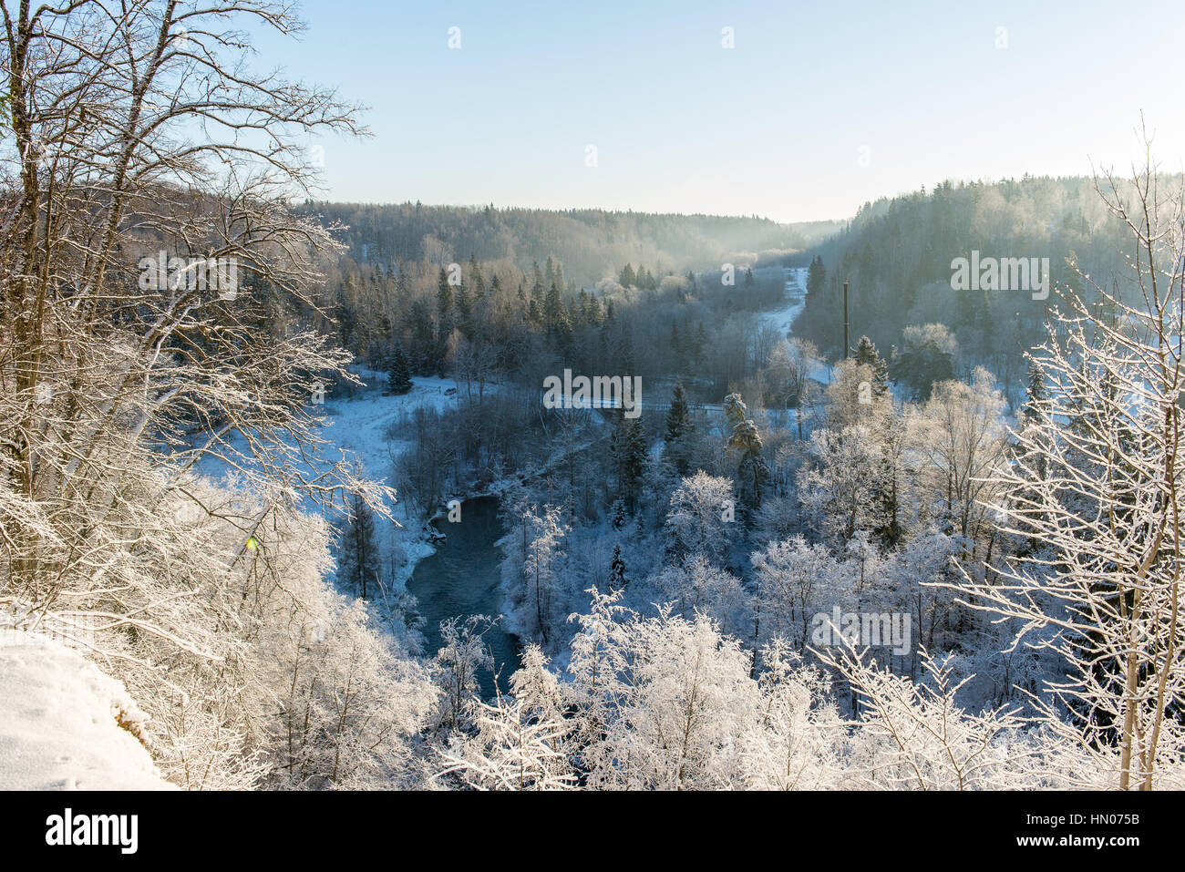 snowy winter forest landscape with snow covered trees and blue sky ...