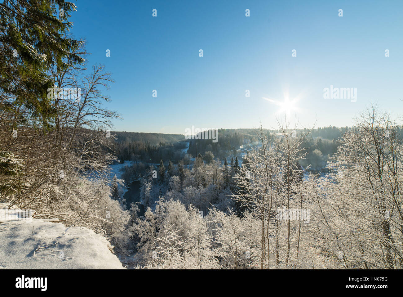snowy winter forest landscape with snow covered trees and blue sky ...